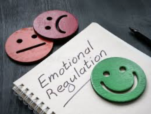 Emotional Regulation Image